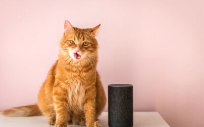 Tech News 8 Can you Maintain your Privacy around Alexa(and other Speech Recognition Software)?