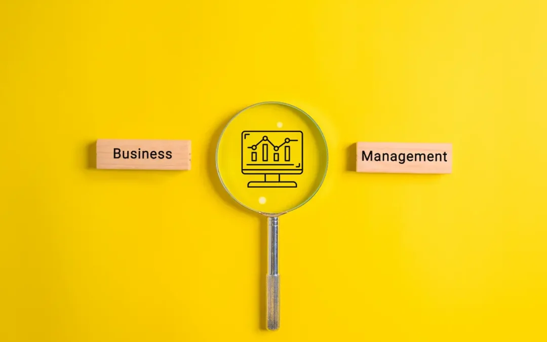 it for business management