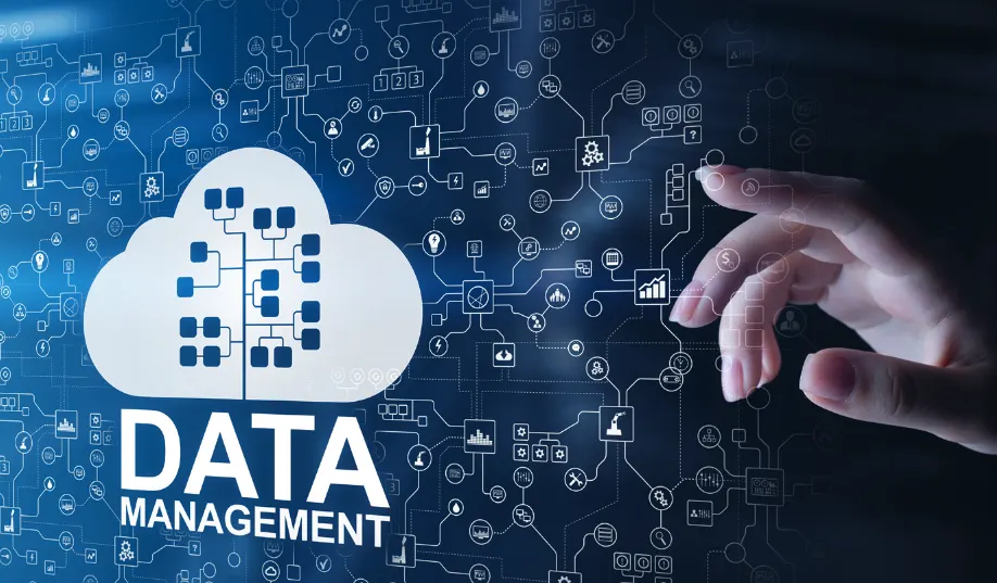 Empower Your Business With Reliable IT Support in San Diego 2 Data Management Services